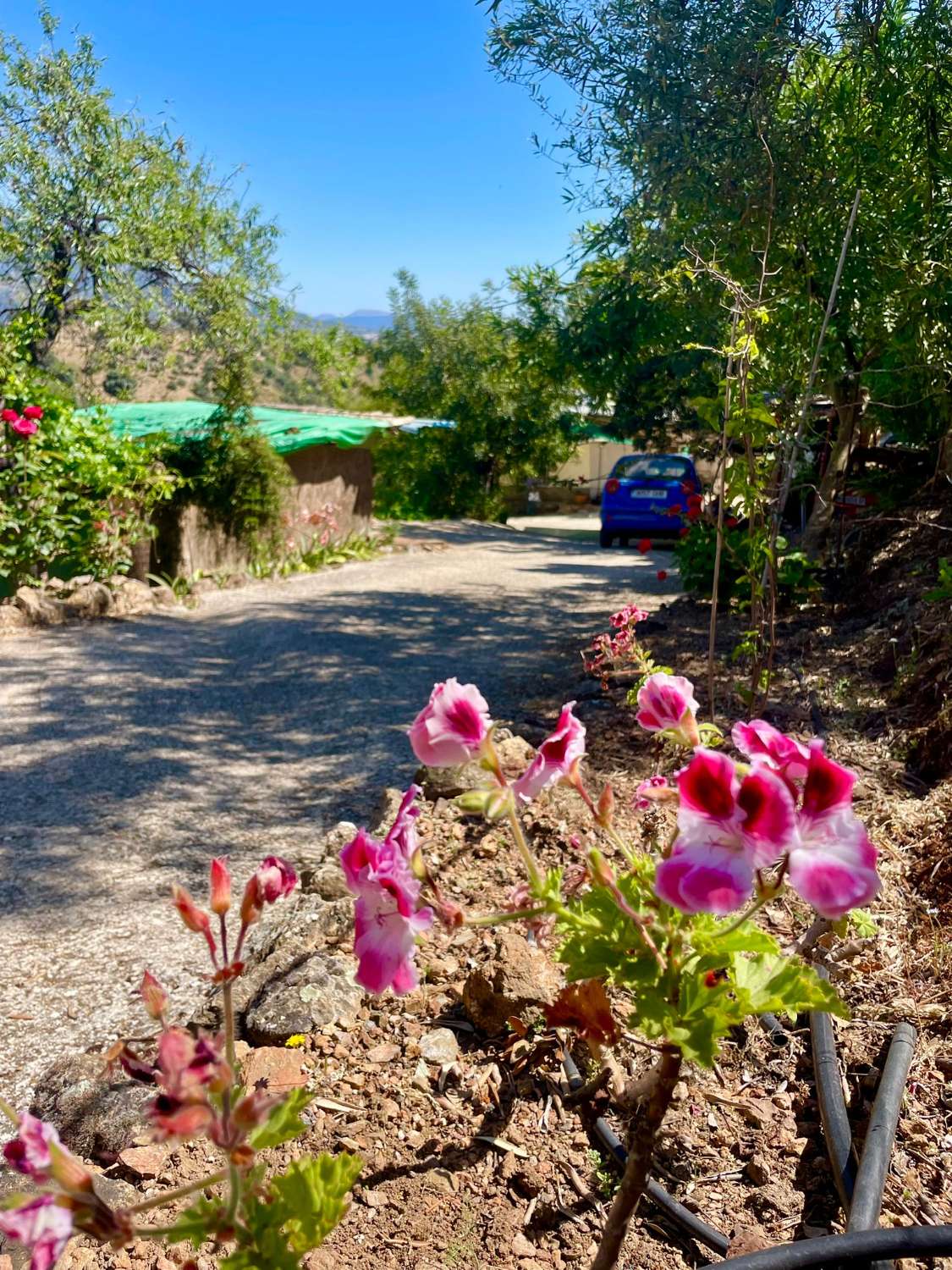 Tolox – Authentische Finca mit Potenzial, Photovoltaik und einzigartiger Natur