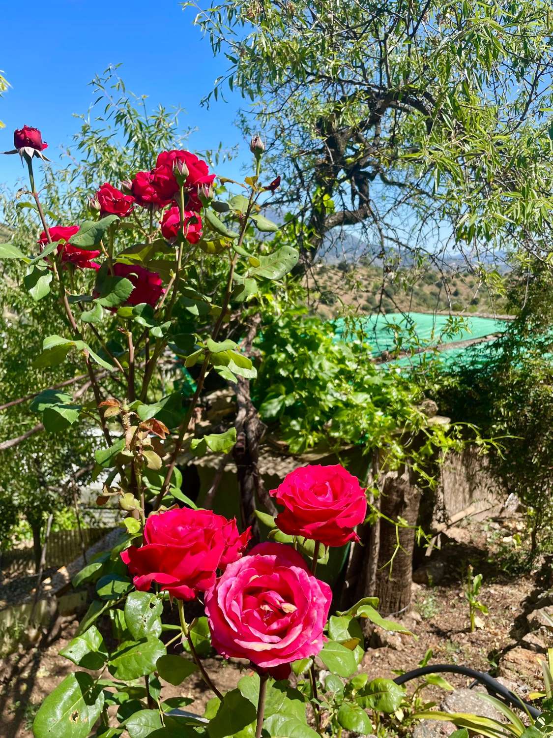 Tolox – Authentische Finca mit Potenzial, Photovoltaik und einzigartiger Natur