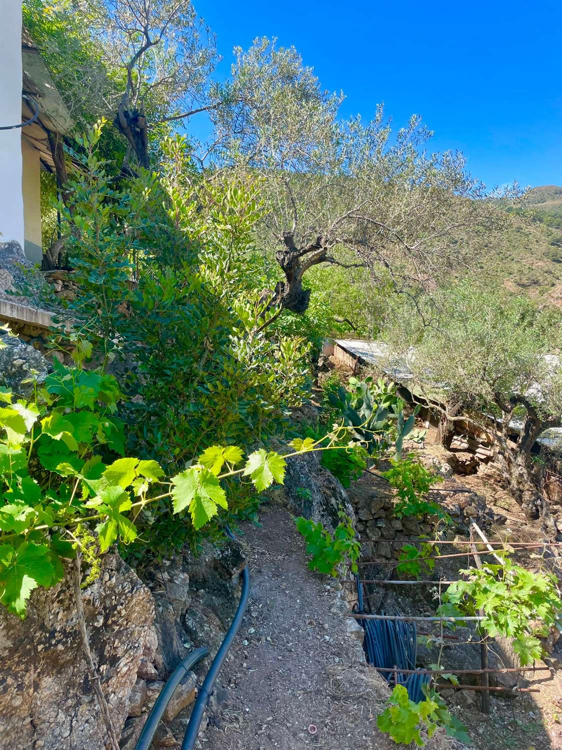 Tolox – Authentische Finca mit Potenzial, Photovoltaik und einzigartiger Natur