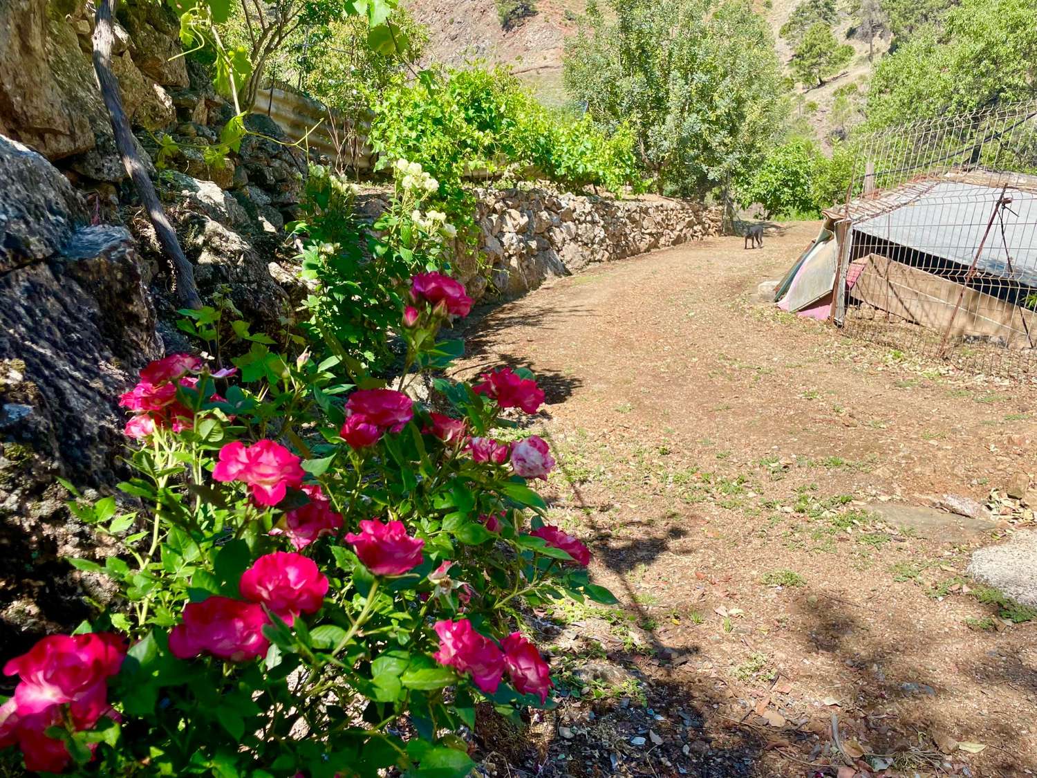 Tolox – Authentische Finca mit Potenzial, Photovoltaik und einzigartiger Natur