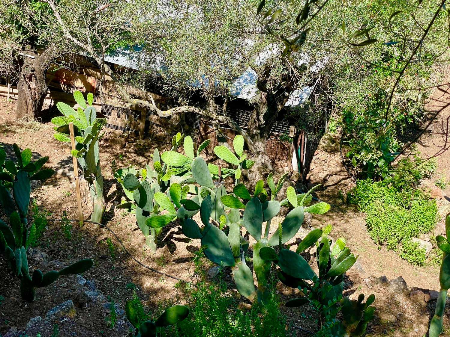 Tolox – Authentische Finca mit Potenzial, Photovoltaik und einzigartiger Natur