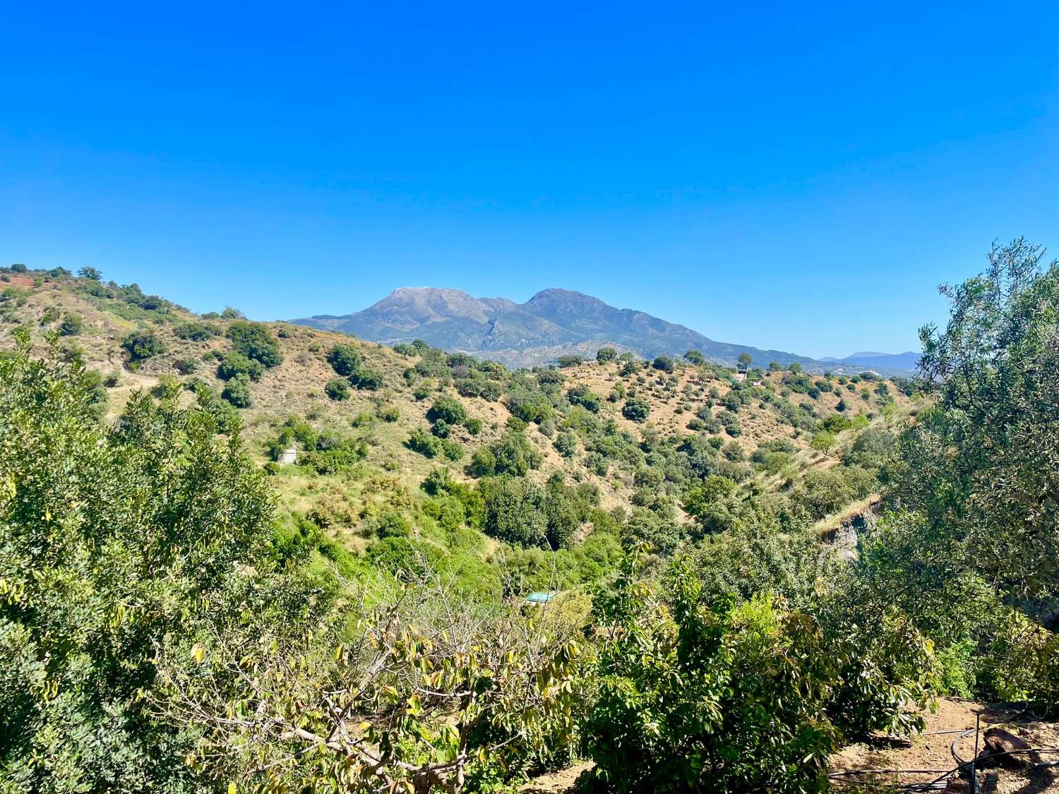 Tolox – Authentische Finca mit Potenzial, Photovoltaik und einzigartiger Natur