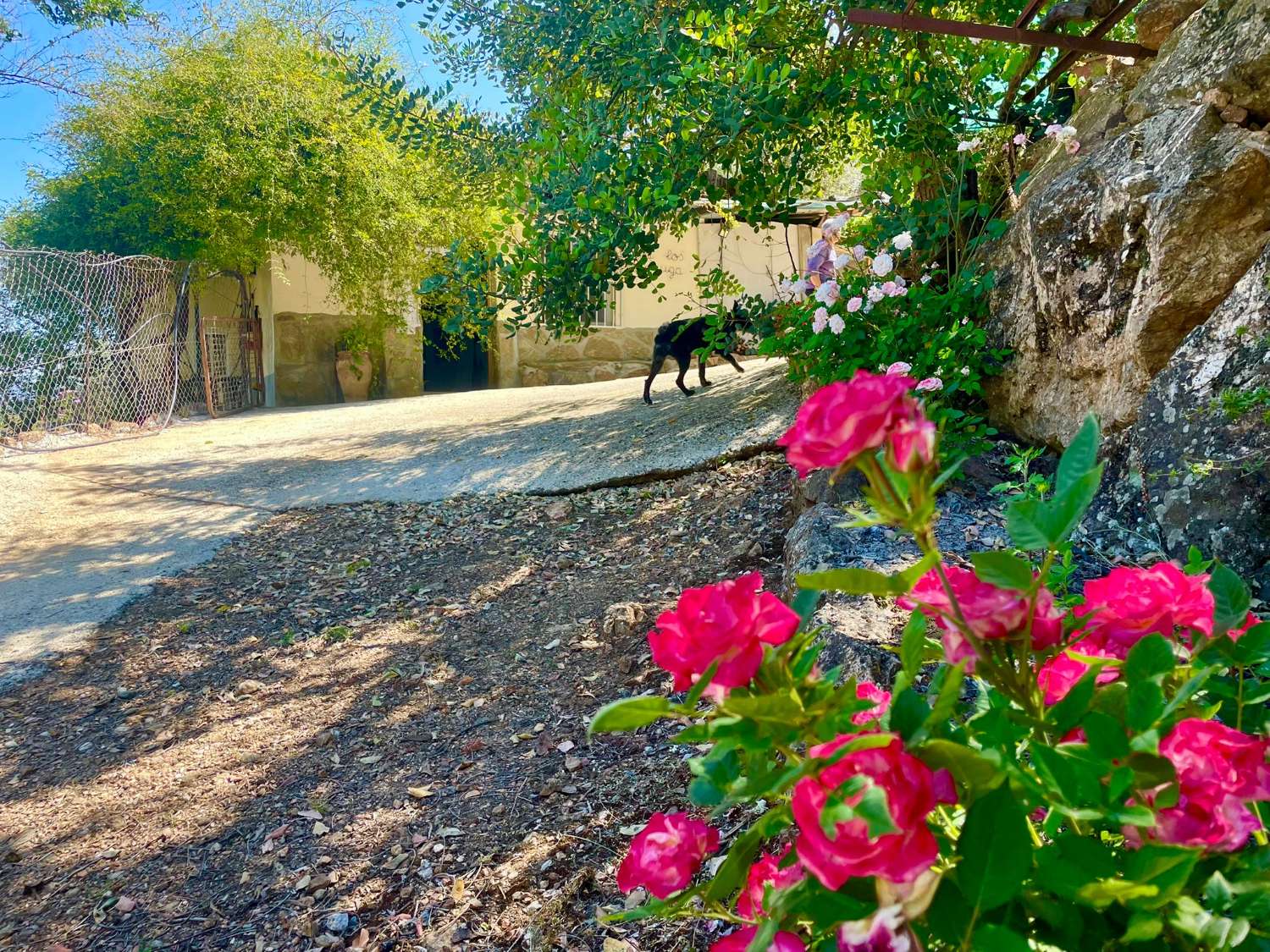 Tolox – Authentische Finca mit Potenzial, Photovoltaik und einzigartiger Natur