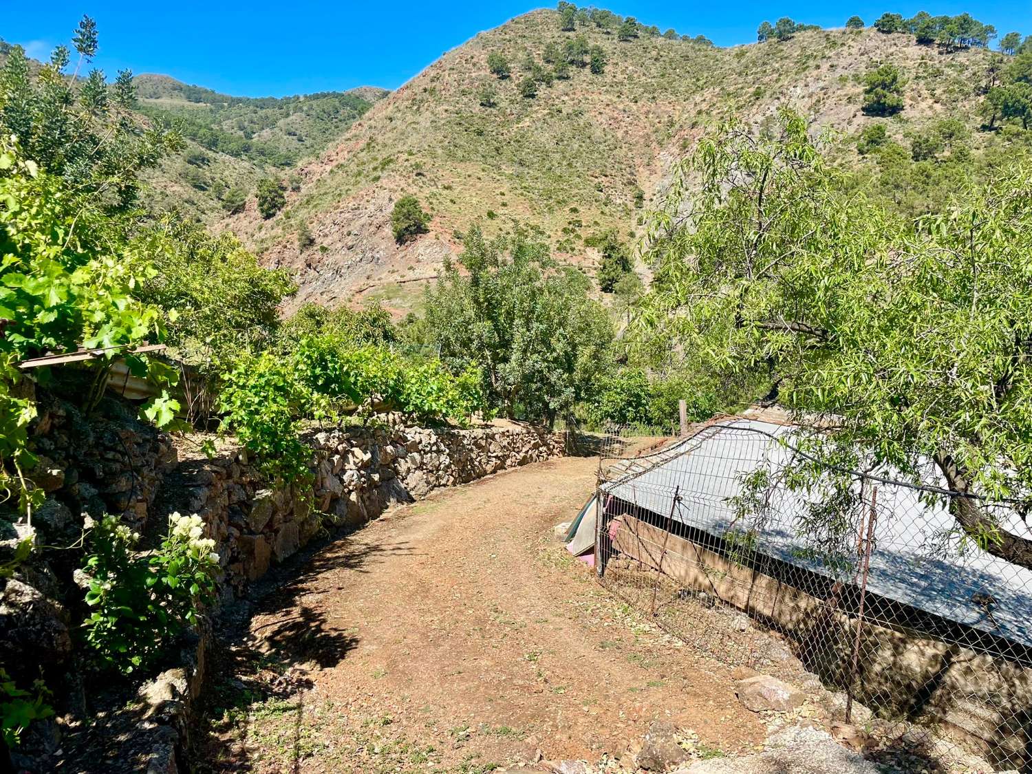 Tolox – Authentische Finca mit Potenzial, Photovoltaik und einzigartiger Natur