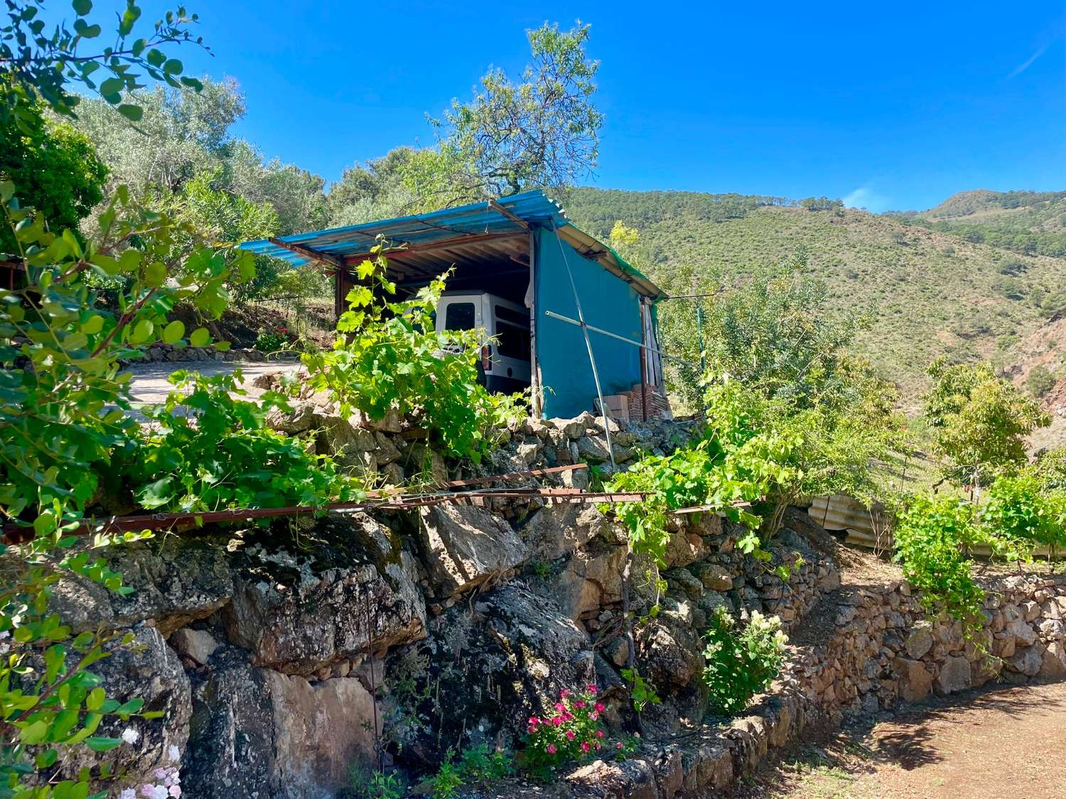 Tolox – Authentische Finca mit Potenzial, Photovoltaik und einzigartiger Natur