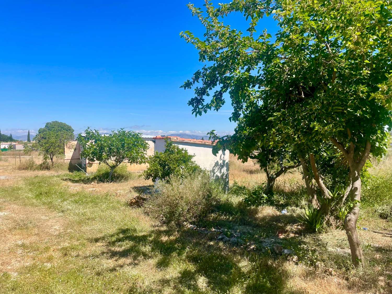 Freistehendes Landhaus mit Pool und Weitblick in Moraleda de Zafayona – Nähe Granada