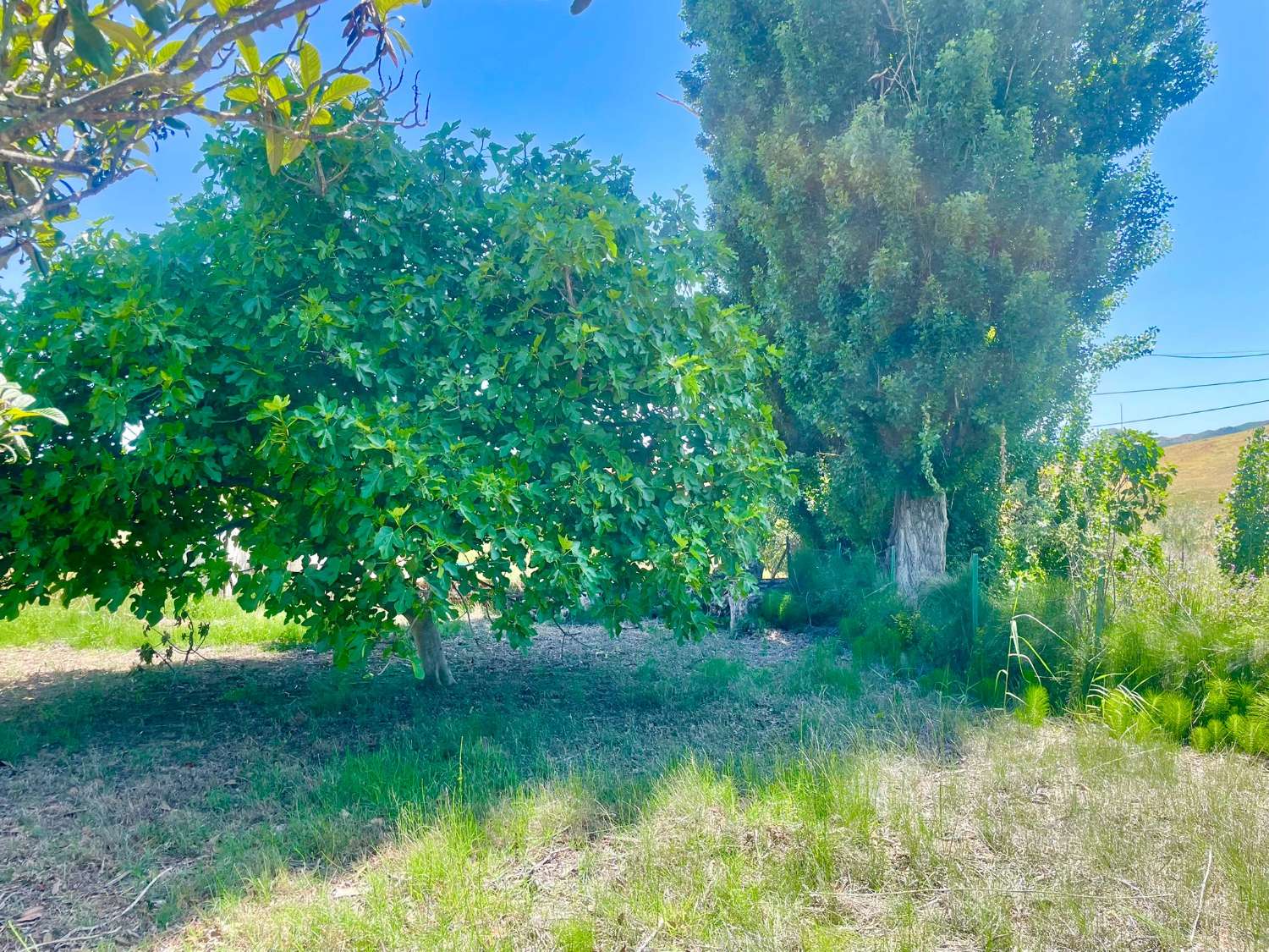Freistehendes Landhaus in der Sierra de Líjar bei Olvera – ruhiges Wohnen in naturnaher Lage