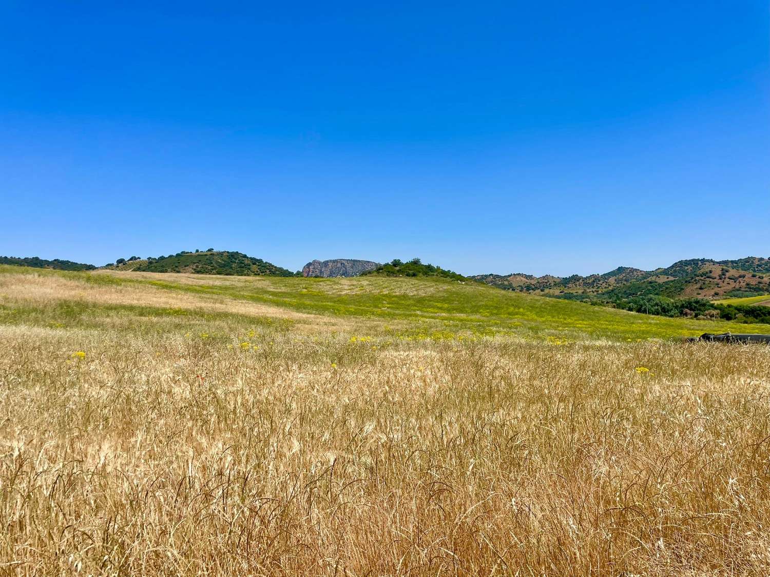 Freistehendes Landhaus in der Sierra de Líjar bei Olvera – ruhiges Wohnen in naturnaher Lage