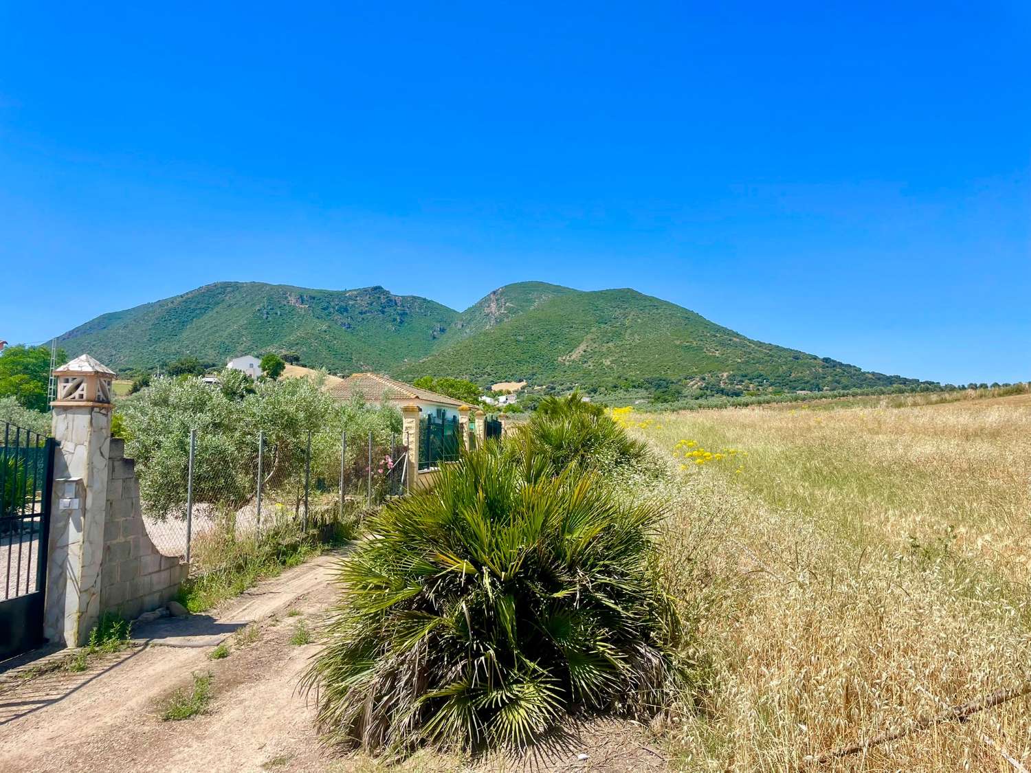 Freistehendes Landhaus in der Sierra de Líjar bei Olvera – ruhiges Wohnen in naturnaher Lage
