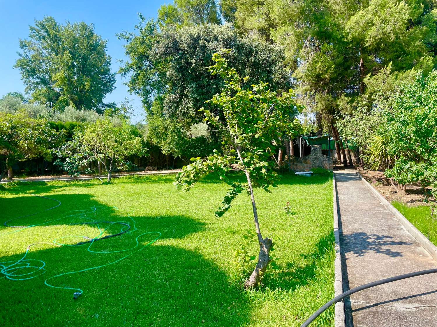 Chalet renovado con piscina en parcela privada en Moraleda de Zafayona (Granada)