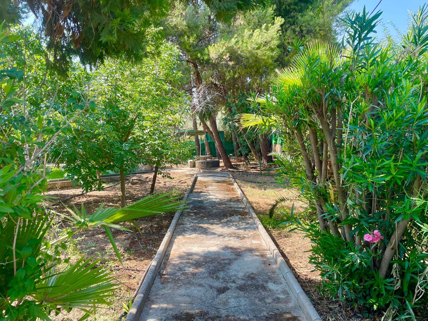 Chalet renovado con piscina en parcela privada en Moraleda de Zafayona (Granada)