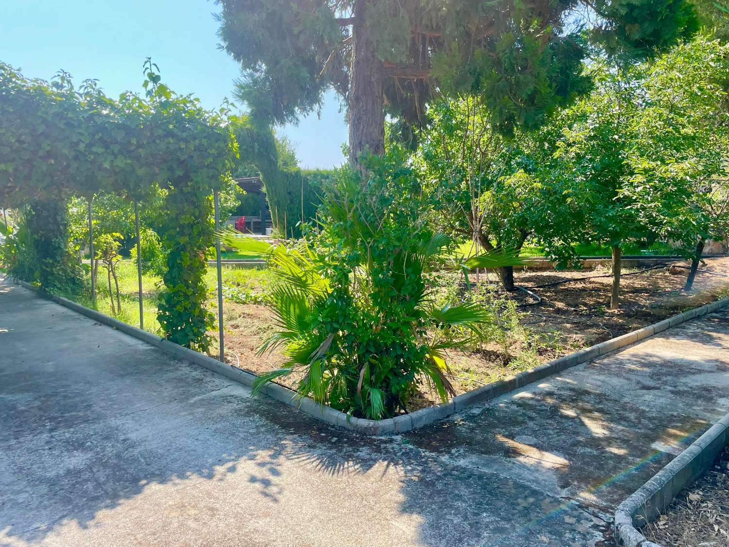 Chalet renovado con piscina en parcela privada en Moraleda de Zafayona (Granada)