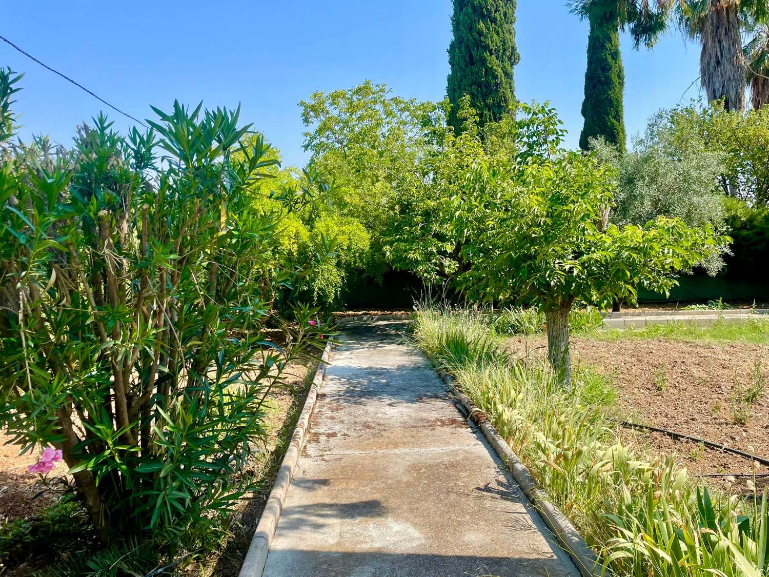 Chalet renovado con piscina en parcela privada en Moraleda de Zafayona (Granada)