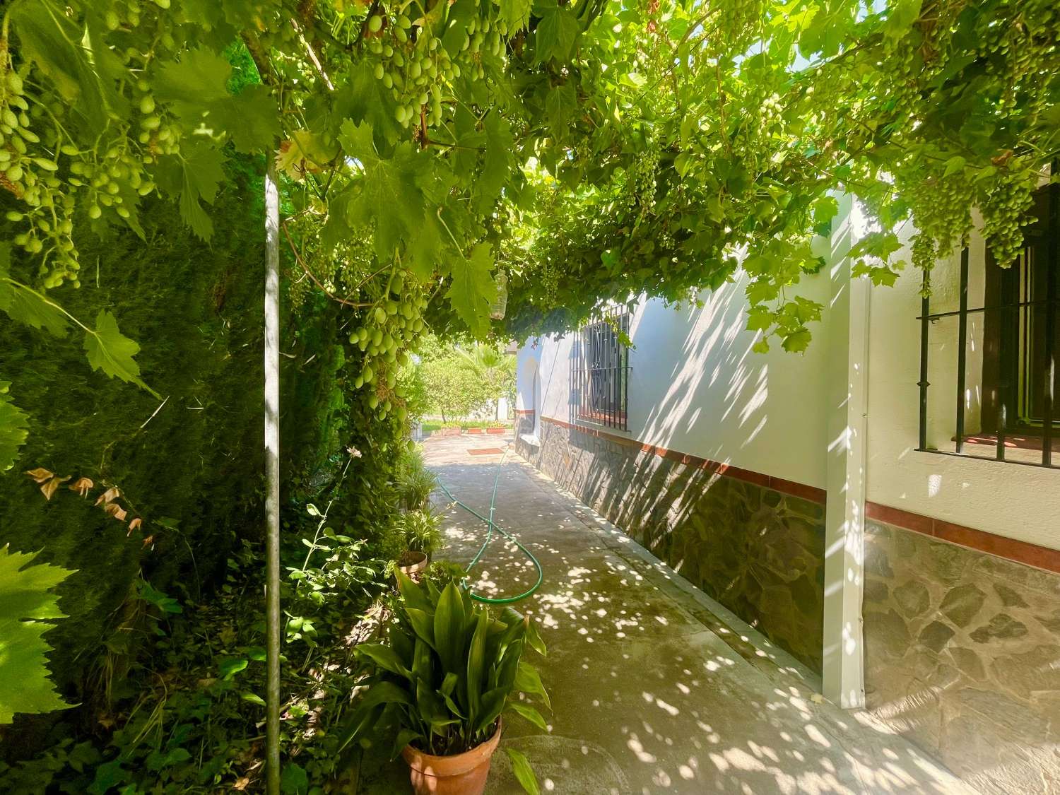 Chalet renovado con piscina en parcela privada en Moraleda de Zafayona (Granada)