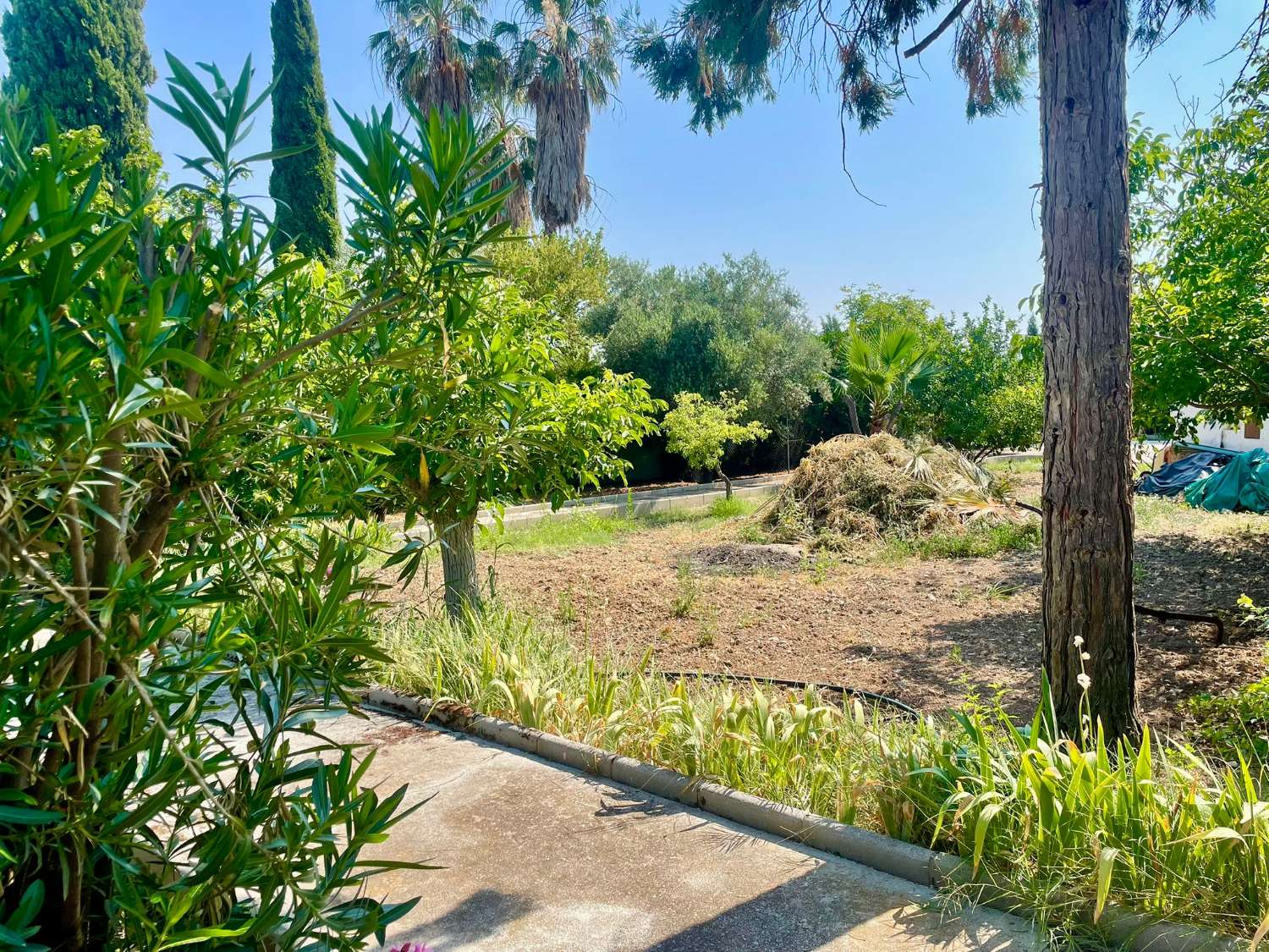 Chalet renovado con piscina en parcela privada en Moraleda de Zafayona (Granada)