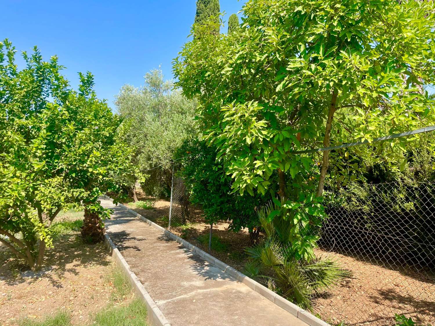 Chalet renovado con piscina en parcela privada en Moraleda de Zafayona (Granada)