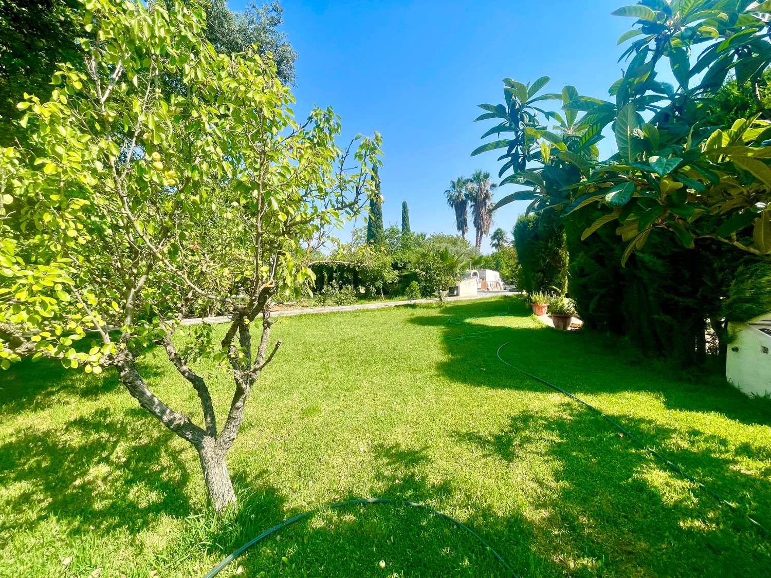 Chalet renovado con piscina en parcela privada en Moraleda de Zafayona (Granada)