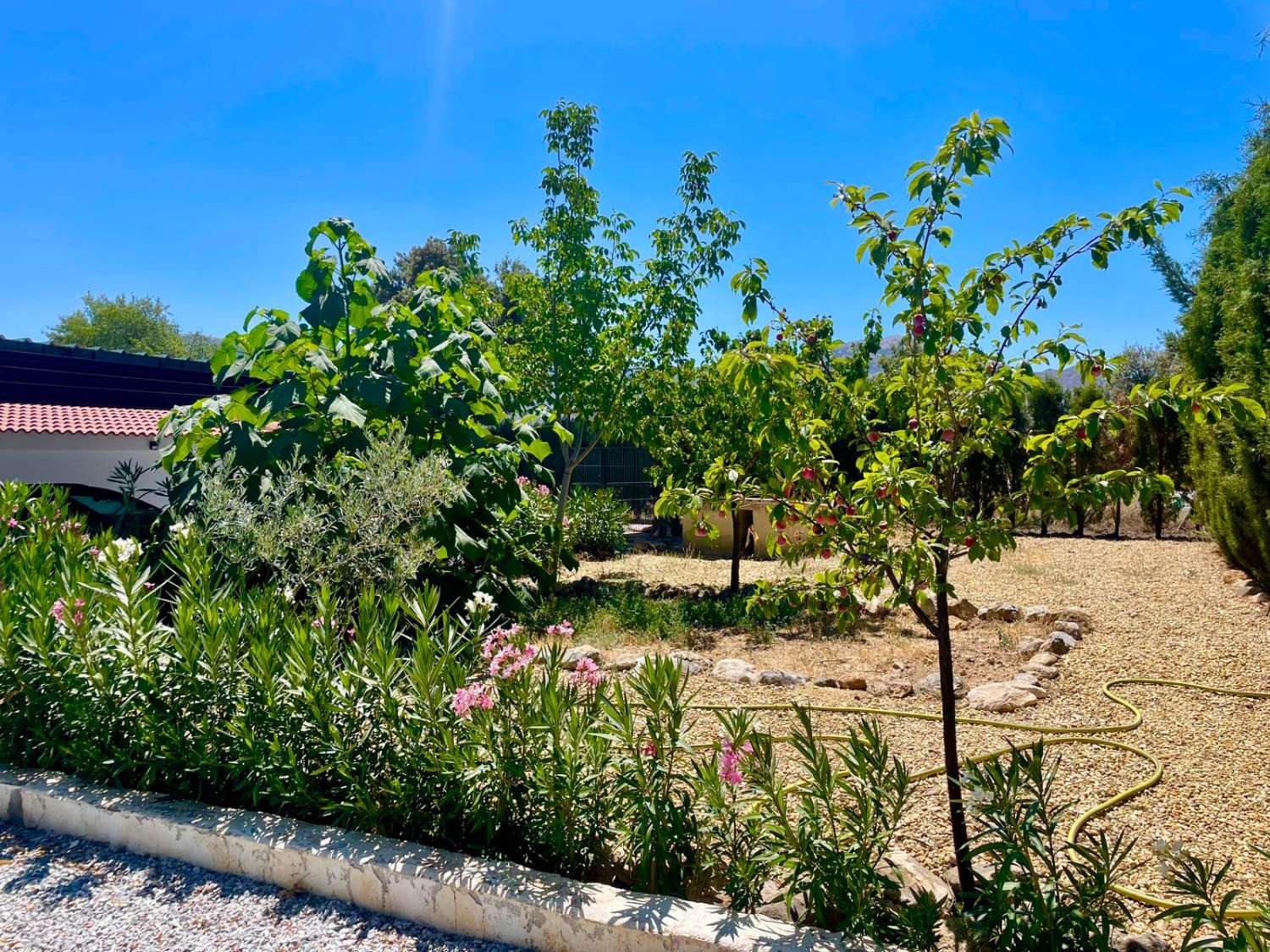 Chalet moderno con terreno de 120.000 m² en ubicación aislada – cerca de Gorafe y Baza