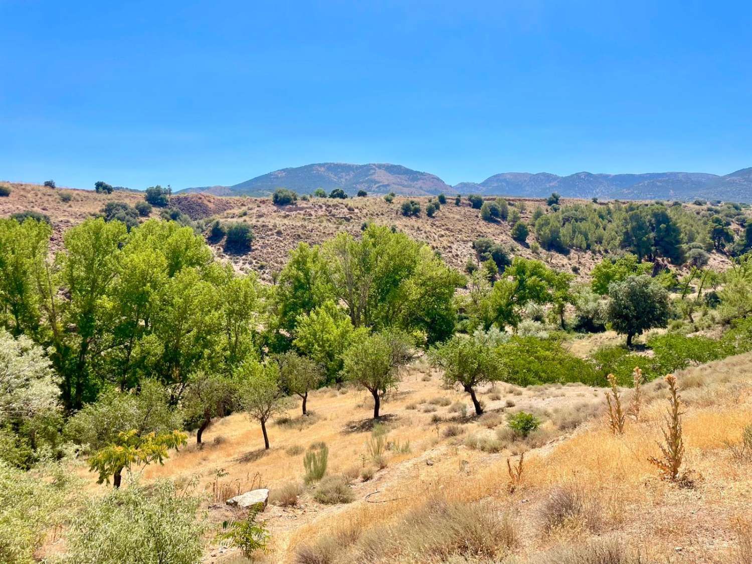 Chalet moderno con terreno de 120.000 m² en ubicación aislada – cerca de Gorafe y Baza