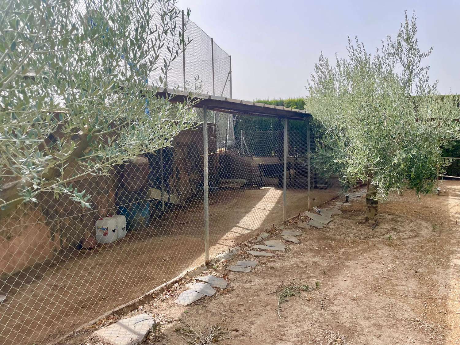 Landhaus mit Olivenhain, Pool und Sportbereich in Moraleda de Zafayona