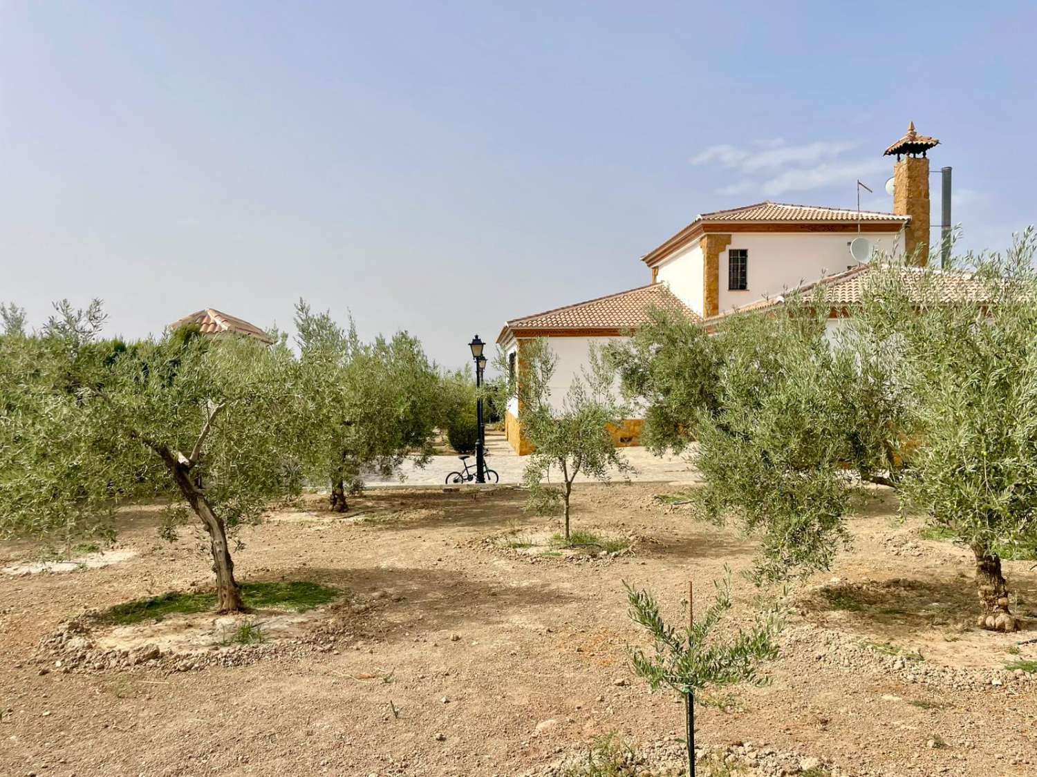 Landhaus mit Olivenhain, Pool und Sportbereich in Moraleda de Zafayona