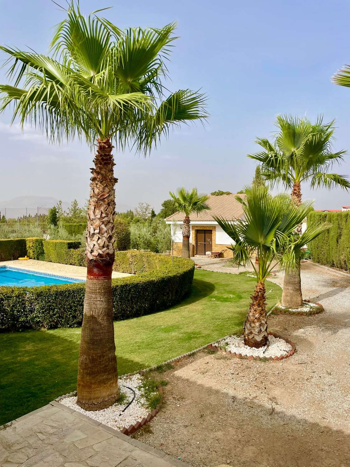 Landhaus mit Olivenhain, Pool und Sportbereich in Moraleda de Zafayona