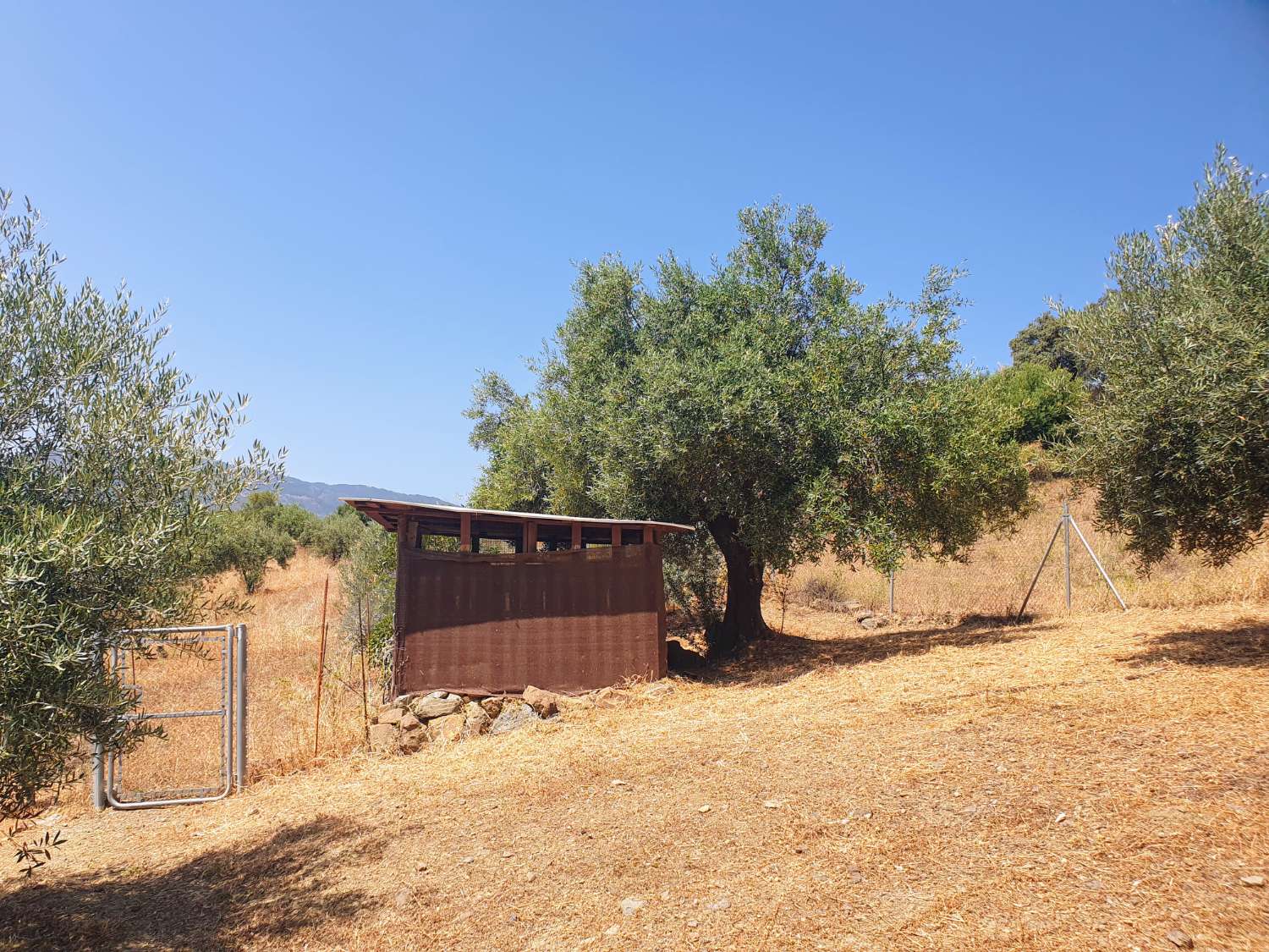 Charmantes Landhaus bei Tolox mit traumhaftem Bergblick