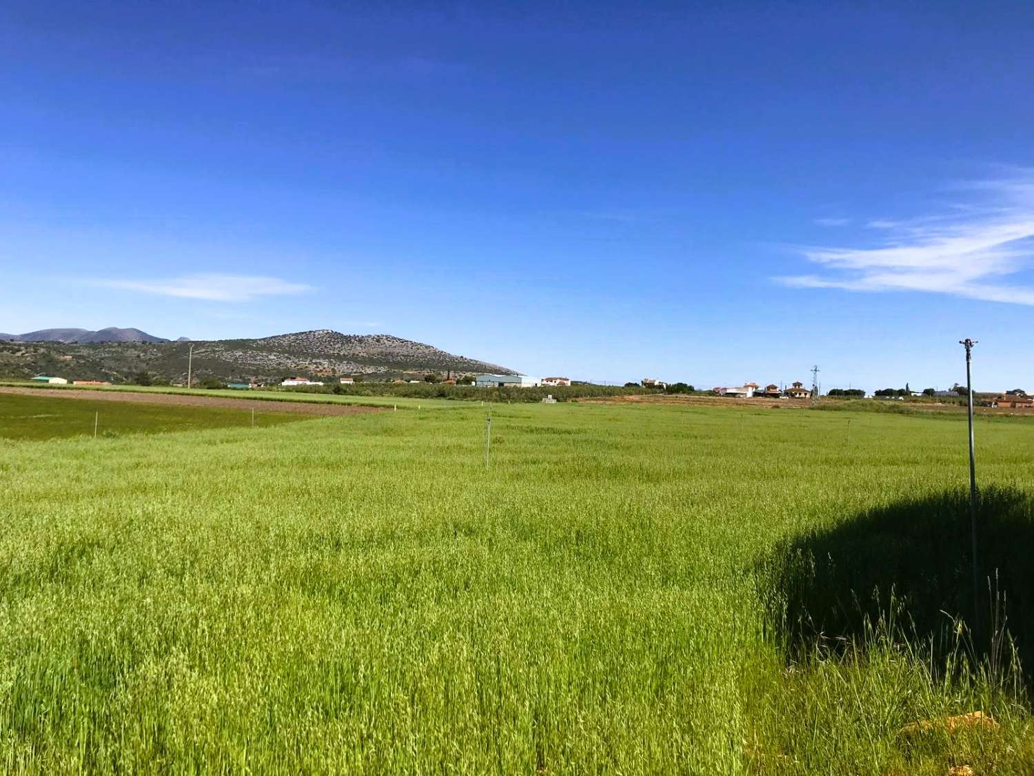 Landwirtschaftliches Grundstück mit eigener Wasserquelle und optimaler Bewässerungsinfrastruktur in Cañete la Real