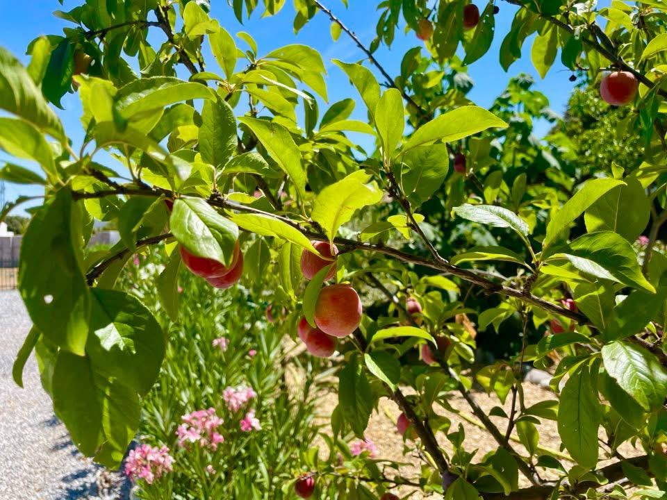 Modernes Landhaus mit Pool bei Baza – Ruhe, Natur & Komfort