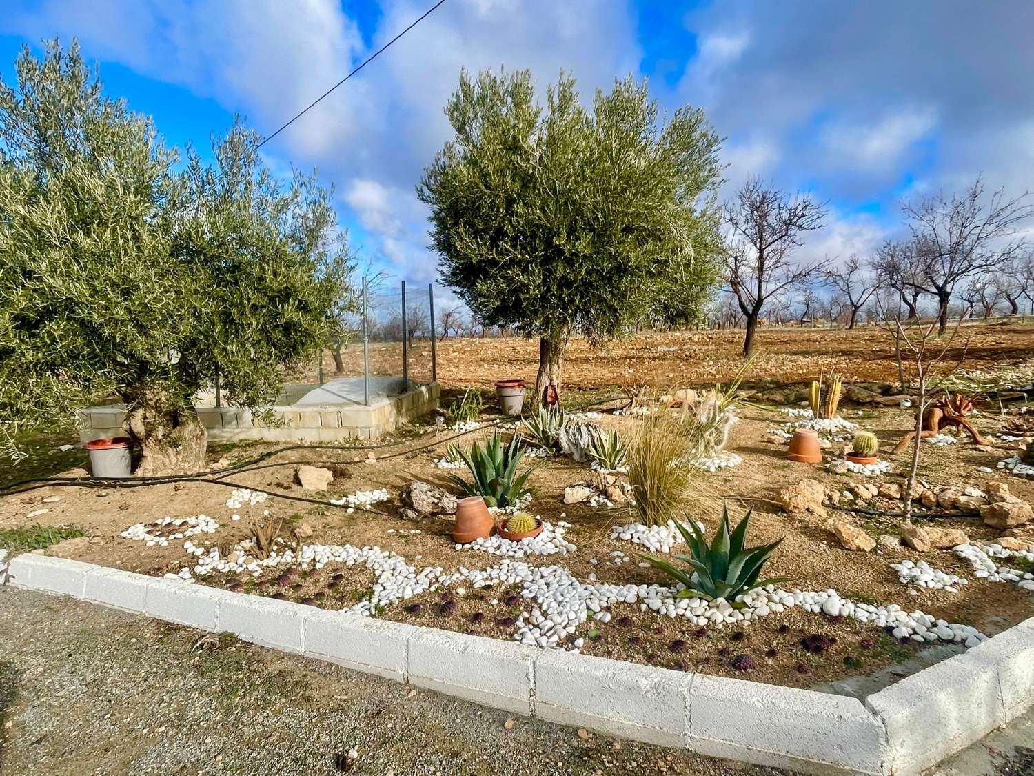 Landhaus mit 200.000 m² Grundstück und Mandelplantage bei Gor