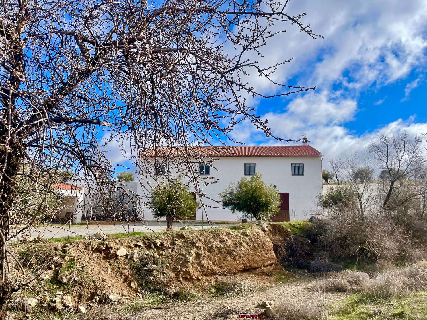 Landhaus mit 200.000 m² Grundstück und Mandelplantage bei Gor