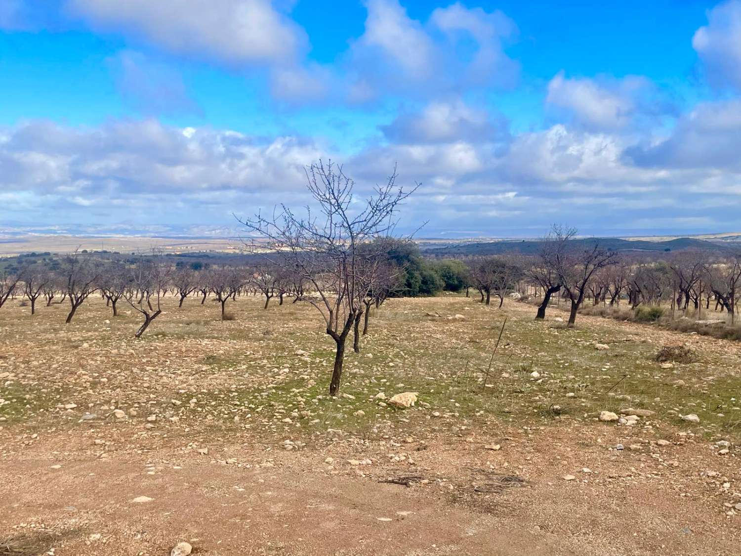 Landhaus mit 200.000 m² Grundstück und Mandelplantage bei Gor